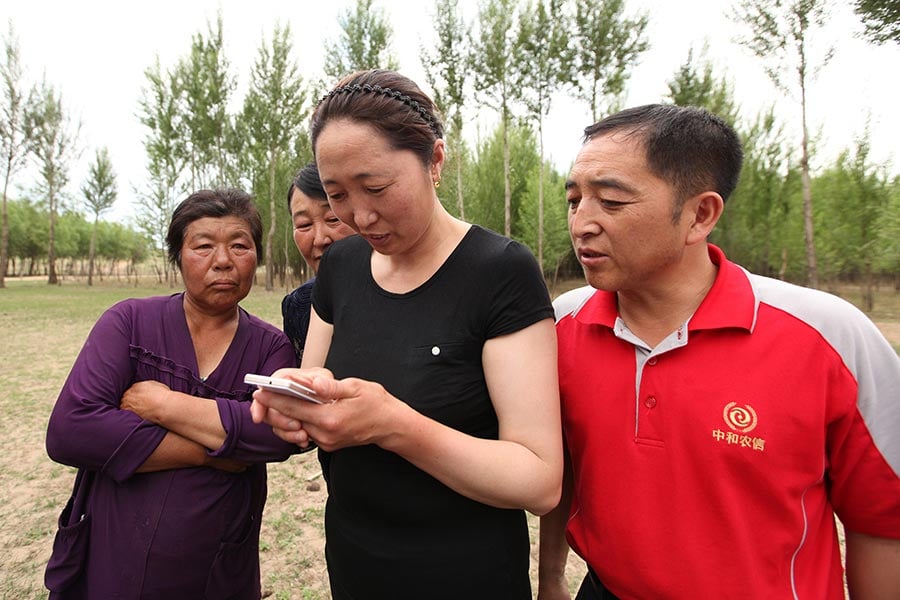 Four Chinese people standing outside looking at smart phone.