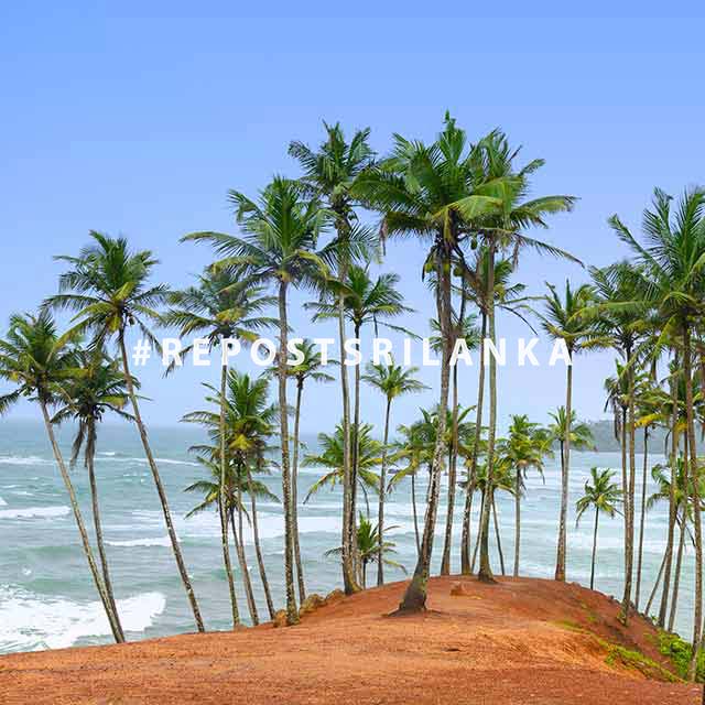 Sri Lanka beach