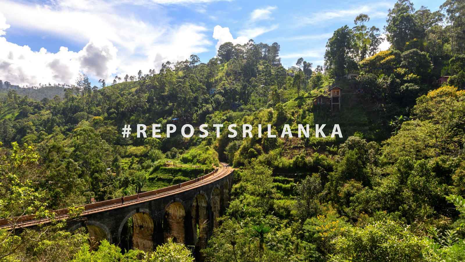 A railway through the forest in Sri Lanka