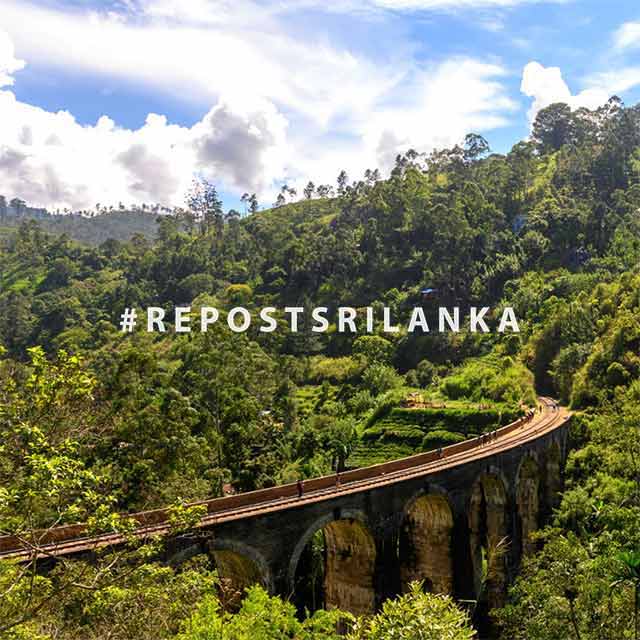 A railway through the forest in Sri Lanka